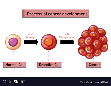 How Does Cancer Develop 的图像结果