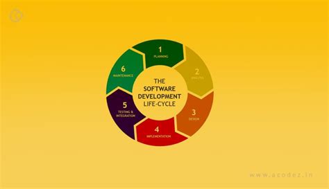 What Is SDLC (Software Development Life Cycle)? | Acodez
