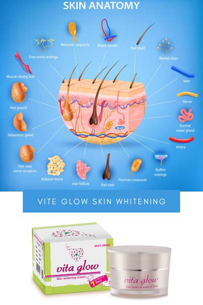Vita Glow Night Cream Result, Reviews, Price, Ingredients, Benefits ...