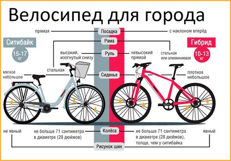 Самые популярные виды велосипедов