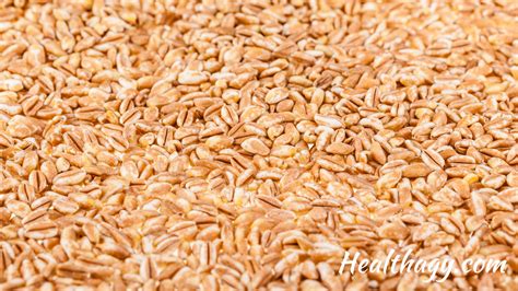 Farro vs Barley Nutrition: Healthy Grains Benefits - Healthagy