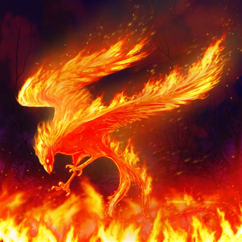 Phoenix - Firebird by GENZOMAN on DeviantArt