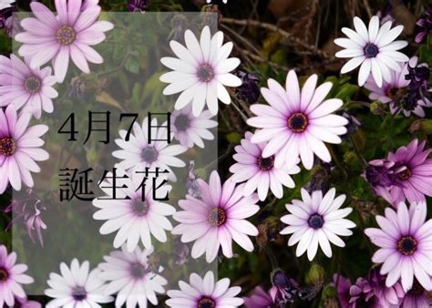4月5日 清明節 - Heho健康