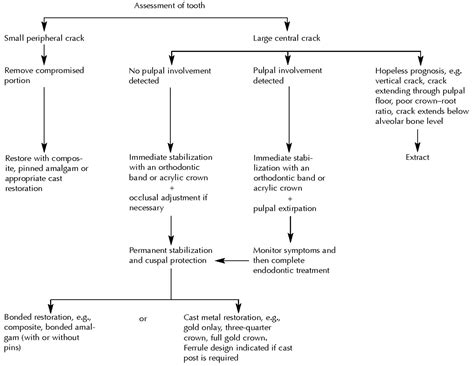 Tooth Fracturecracked Tooth Causes Diagnosis And Treatments