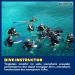 5 Macam Tingkatan Lisensi Scuba Diving – Pusat Marine
