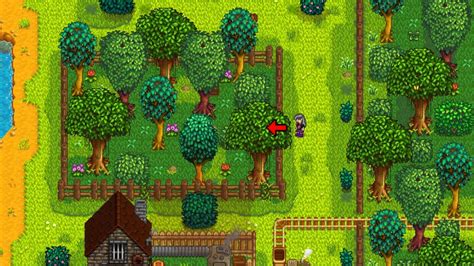 Alien Statue in Stardew Valley 的图像结果