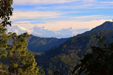 Binsar Wildlife Sanctuary: Jungle Treks, Jeep Safaris, Birds, & More