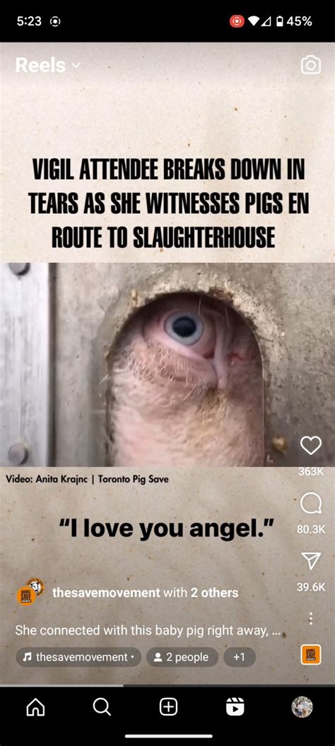 Image result for Instagram Algorithm Funny