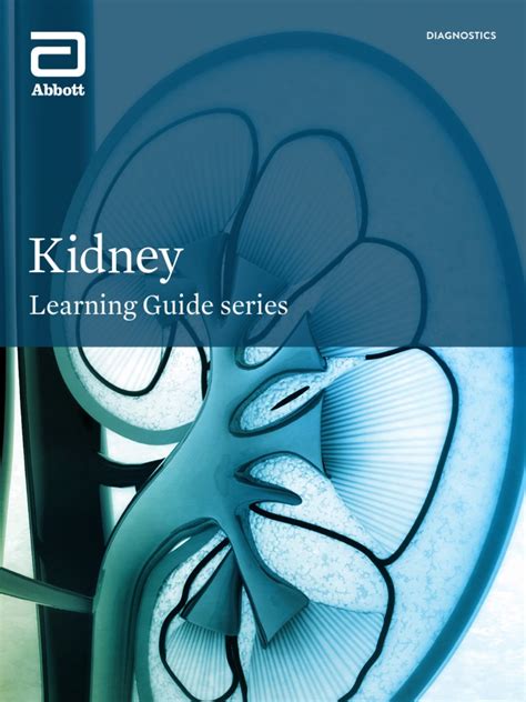 Image result for Kidney Tutorial