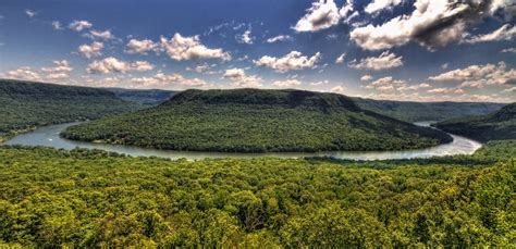 Nature River 的图像结果