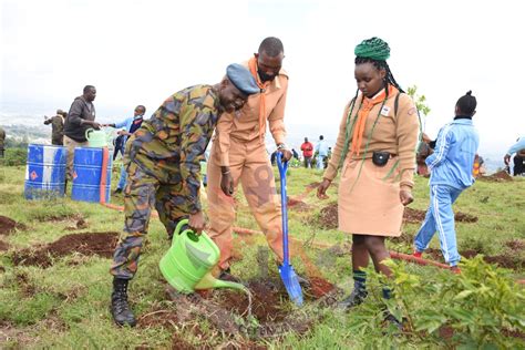 Image result for Tree-Planting Exercise