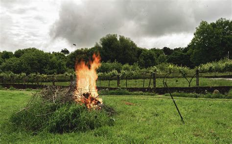 Wildfire smoke in MI: What residents need to know about burn permits