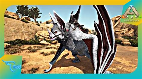 Desmodus Taming Guide 的图像结果