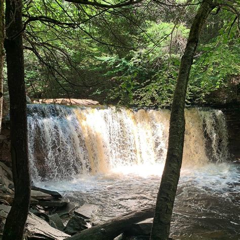 RICKETTS GLEN STATE PARK CAMPGROUND (Benton) - Campground Reviews ...