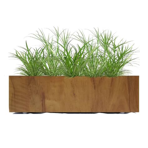 Vyani, Recto Wooden Planter Box, Wooden Texture, 20 x 6 inch, 1 Unit ...
