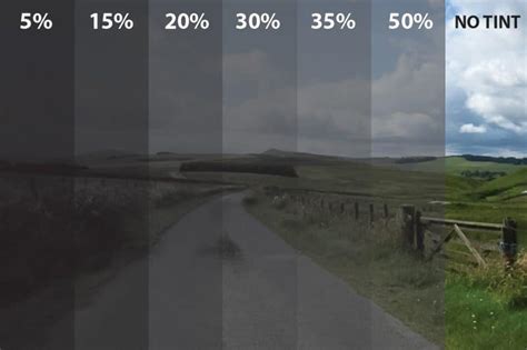 Image result for Window Tint Levels