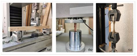 Forests | Special Issue : Novel Insights into the Assessment of Wood ...
