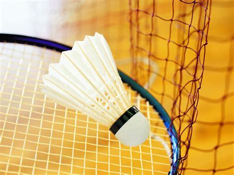 Image result for Badminton Singles