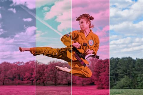 Infrared Camera Software 的图像结果