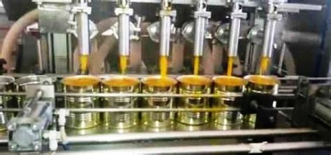 Image result for Mango Pulp Processing