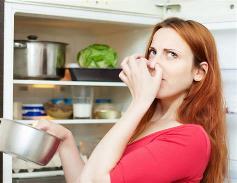 5 Things To Help You Get Rid of Kitchen Smell - lifeberrys.com