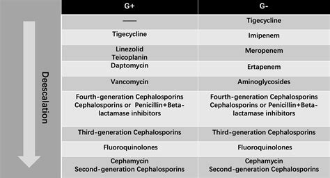 Which Antibiotics Treat Gram-Positive Bacteria at Sara Huff blog