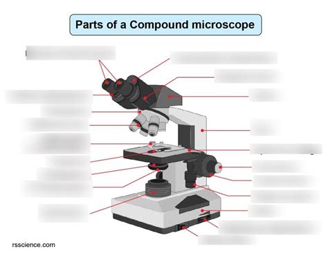 Microscope 的图像结果