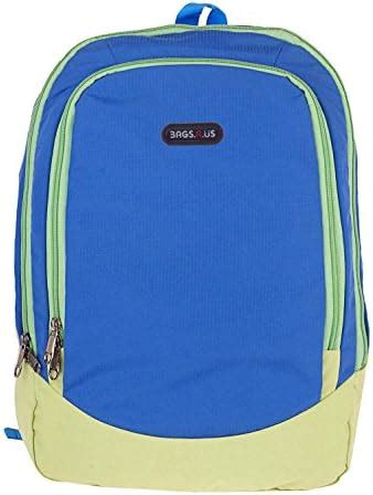 Buy BagsRUs Casual Dual Laptop Backpacks Waterproof School Bag For Boys ...