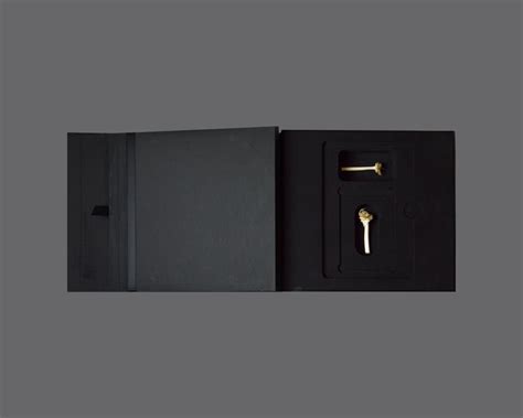 Memory Unit Blak Box 的图像结果