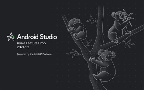 Image result for Dynamic Feature Update Android Studio