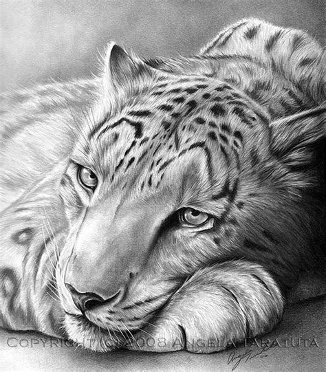 Best 25+ Pencil drawings of animals ideas on Pinterest | Pencil ...