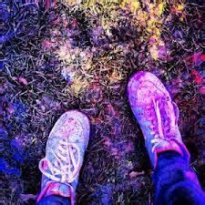 Image result for Color Powder Fight