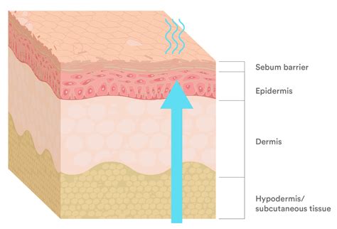 Xerosis Of Skin Is The Skin Prone To Dryness Or Is It Pathologically
