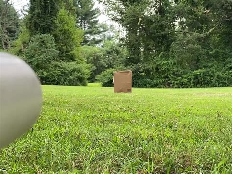 Exploding Potato Cannon 的图像结果