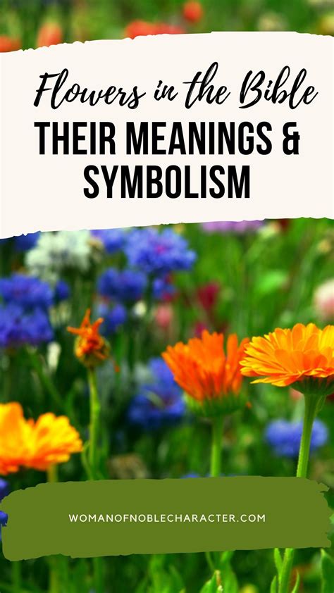 Flowers in the Bible: Meanings and Symbolism