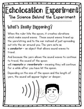 Echolocation/Sound Wave Experiment by Veronica Schmidt | TpT