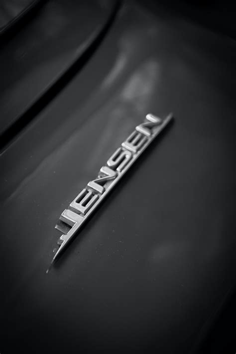 Image result for Text Analyzer