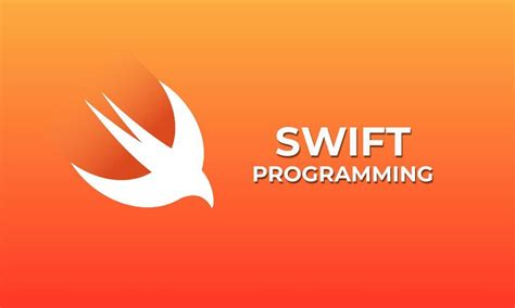 Swift Program 的图像结果