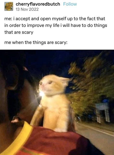 MR BONES’ WILD RIDE NEVER ENDS : r/CuratedTumblr