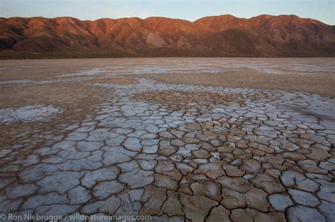 Dry Lake Bed | Photos by Ron Niebrugge