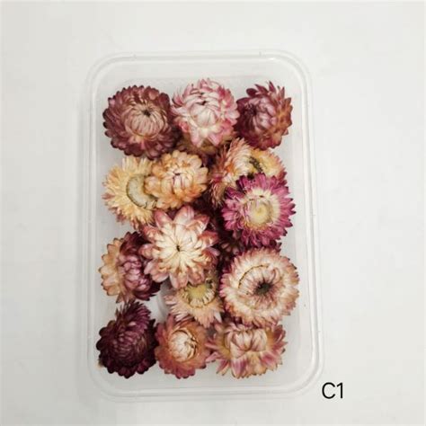 Arteria. 3D Dry Flower Box -C1