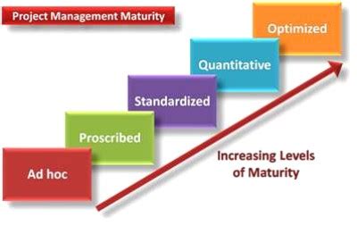 Image result for Project Maturity