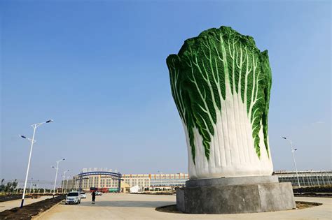 提升乡村主题坚蔬菜文景观玻璃钢大白菜雕塑摆件|纯艺术|雕塑|添翼雕塑艺术 - 原创作品 - 站酷 (ZCOOL)