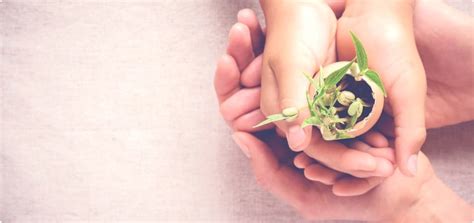 INVIS | ICT Solutions | Multimedia Content | Sustainable Living