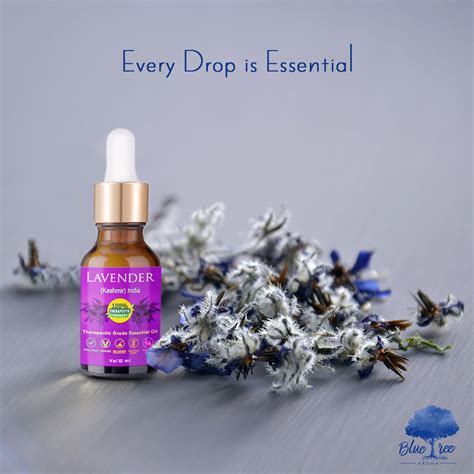 Thanks For Scanning The QR Code And Welcome To Blue Tree Aroma