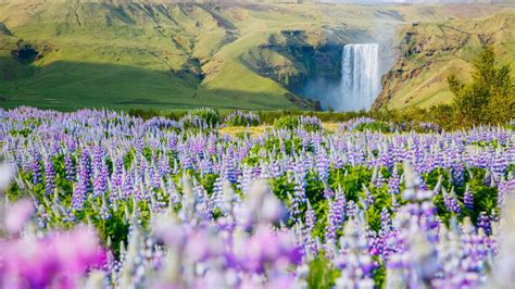 Iceland in May: Weather, Things to Do, and What to Pack