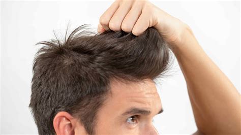 Haircut Styles for Men: 30+ Trending Looks & Tips