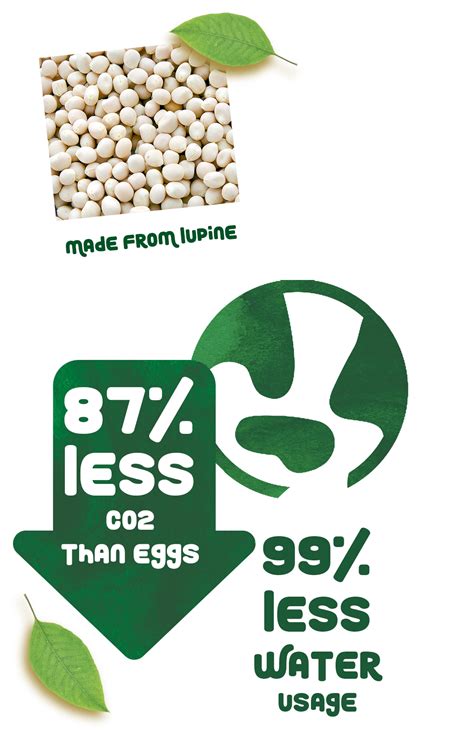 Waarom Plant B Egg? | Plant B Egg