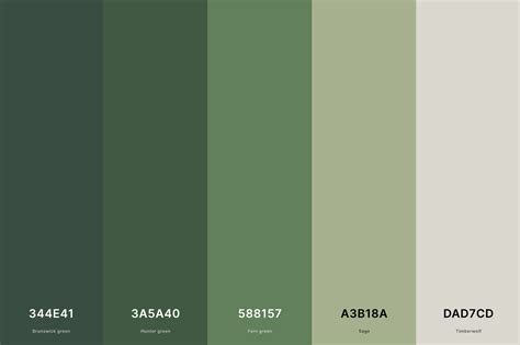 Forest Green Color Palette in 2023 | Green colour palette, Green colors ...