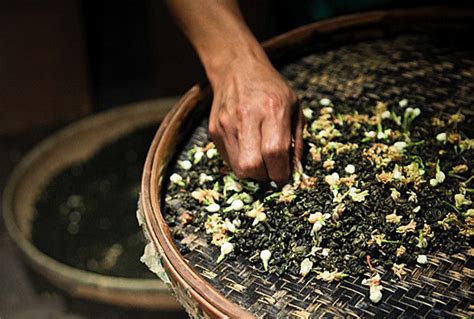 【晒土货过大年】 - 福州茉莉花茶传统工艺传承大师-高愈正 - 阿里巴巴商友圈